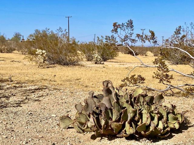 4225 Benji Avenue, Joshua Tree, CA 92252