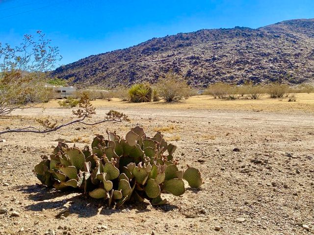 4225 Benji Avenue, Joshua Tree, CA 92252