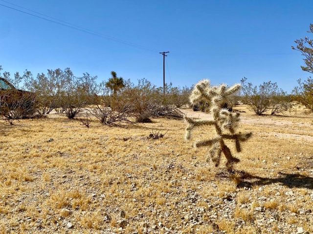 4225 Benji Avenue, Joshua Tree, CA 92252