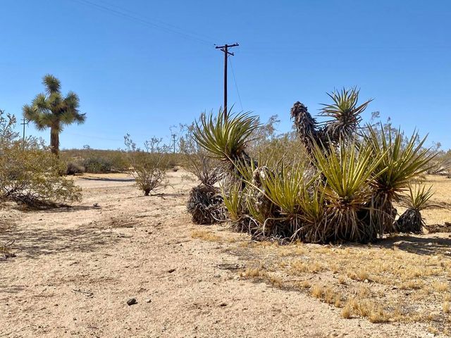 4225 Benji Avenue, Joshua Tree, CA 92252