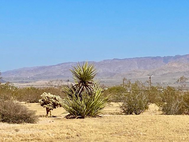 4225 Benji Avenue, Joshua Tree, CA 92252