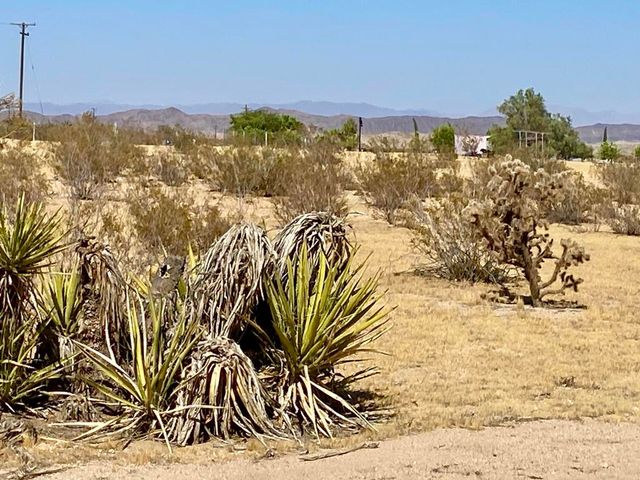 4225 Benji Avenue, Joshua Tree, CA 92252