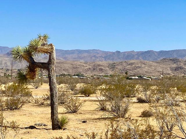 4225 Benji Avenue, Joshua Tree, CA 92252