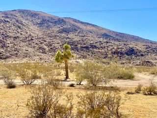 4225 Benji Avenue, Joshua Tree, CA 92252