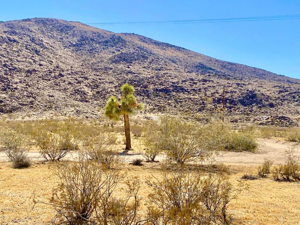 4225 Benji Avenue, Joshua Tree, CA 92252