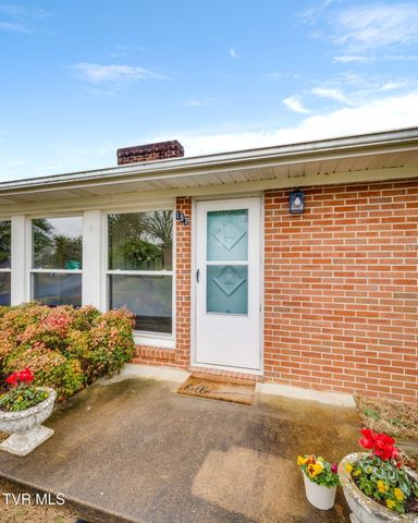 157 Hawk Street, Blountville, TN 37617