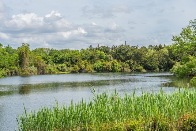 1587 Paradise Lake Drive, Mount Pleasant, SC 29464