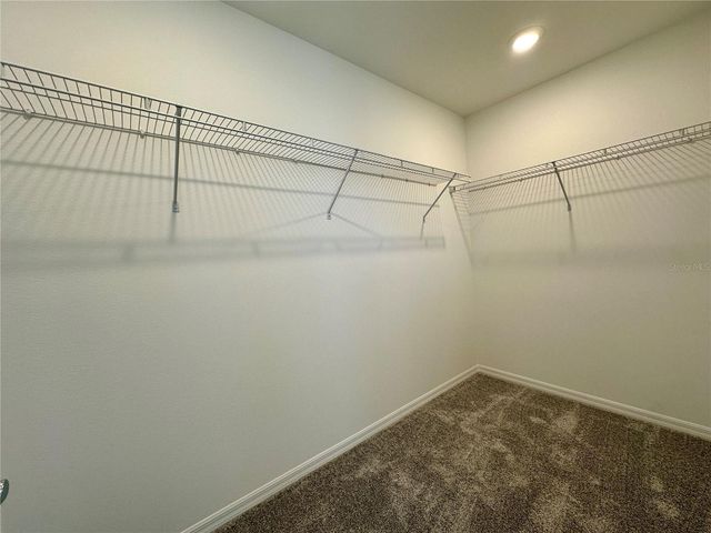 11429 NONA SOUND ST, Orlando, FL 32832