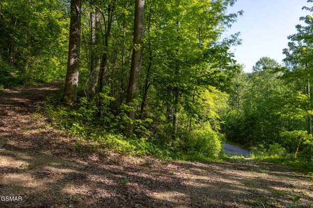 10171035 Big Buck Trail, Townsend, TN 37882