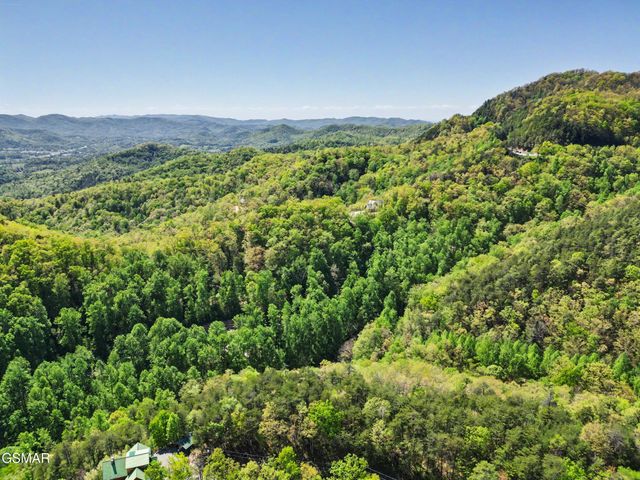 10171035 Big Buck Trail, Townsend, TN 37882