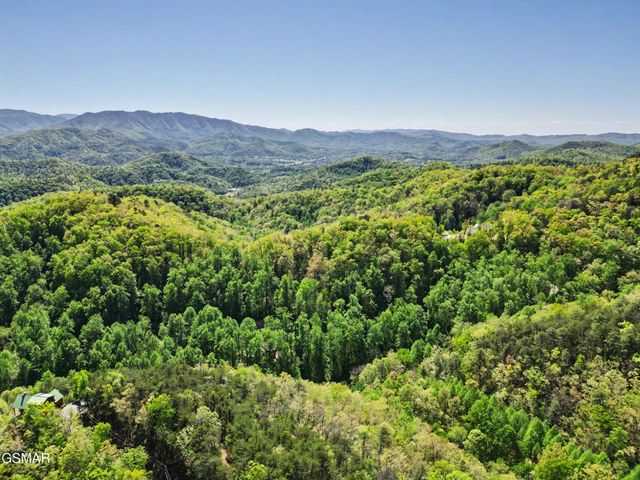 10171035 Big Buck Trail, Townsend, TN 37882