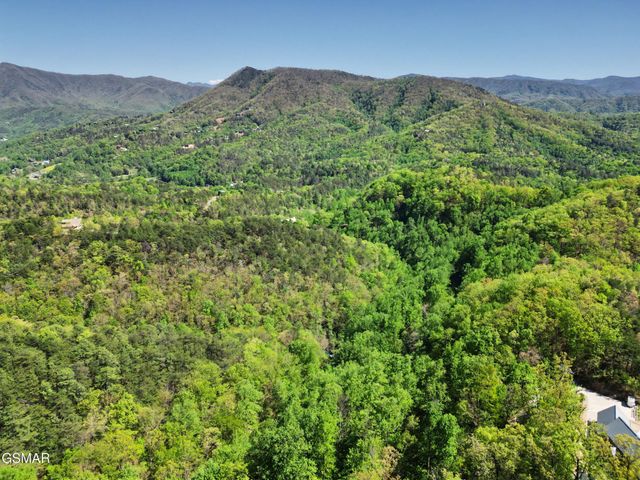10171035 Big Buck Trail, Townsend, TN 37882