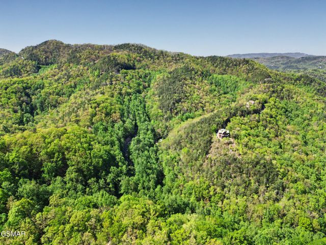 10171035 Big Buck Trail, Townsend, TN 37882