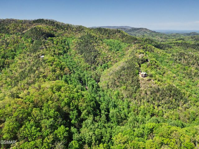 10171035 Big Buck Trail, Townsend, TN 37882