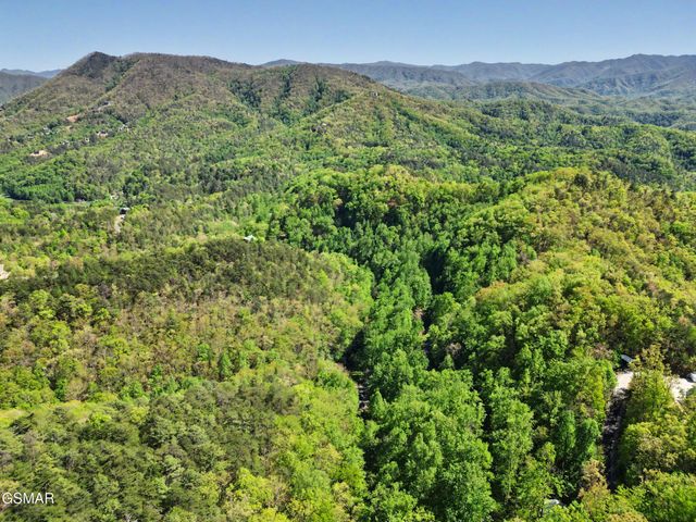 10171035 Big Buck Trail, Townsend, TN 37882