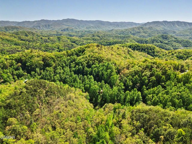 10171035 Big Buck Trail, Townsend, TN 37882