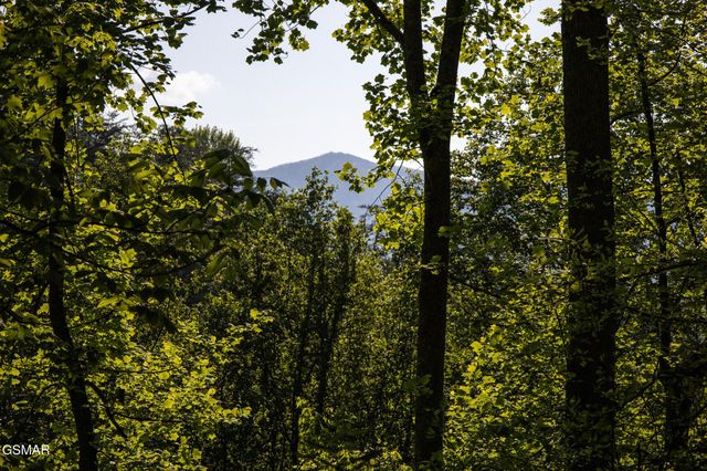 10171035 Big Buck Trail, Townsend, TN 37882