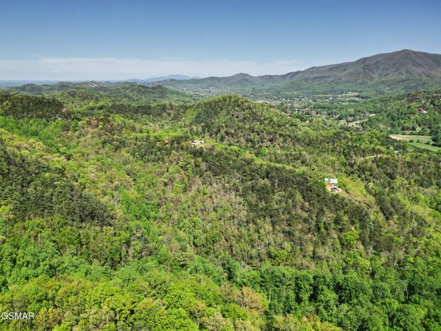 10171035 Big Buck Trail, Townsend, TN 37882
