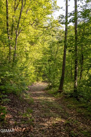 10171035 Big Buck Trail, Townsend, TN 37882