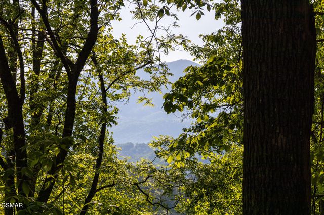 10171035 Big Buck Trail, Townsend, TN 37882