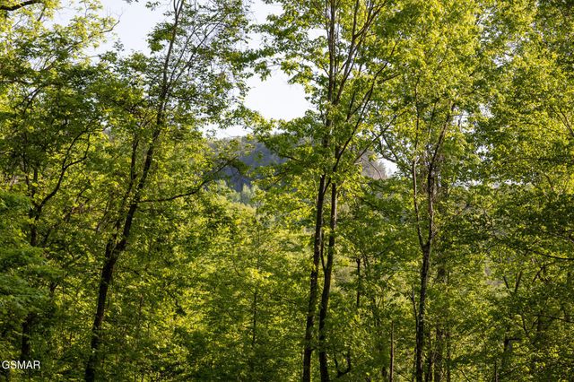 10171035 Big Buck Trail, Townsend, TN 37882