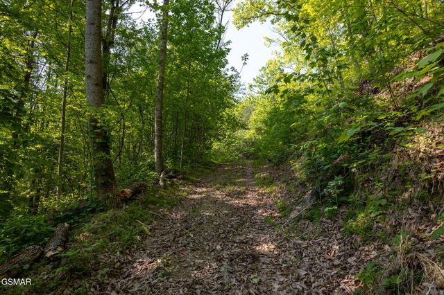 10171035 Big Buck Trail, Townsend, TN 37882