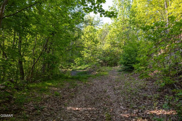 10171035 Big Buck Trail, Townsend, TN 37882
