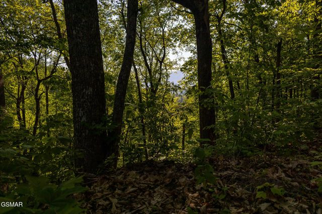 10171035 Big Buck Trail, Townsend, TN 37882