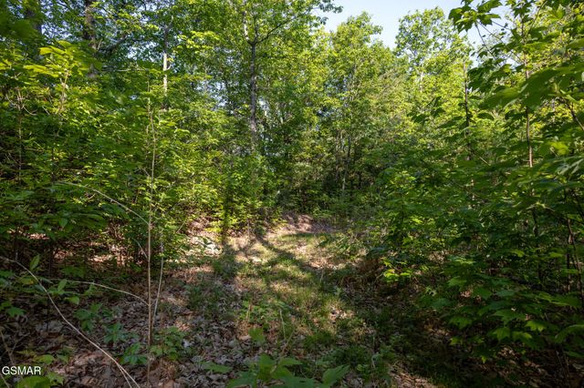 10171035 Big Buck Trail, Townsend, TN 37882