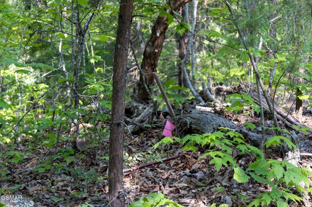 10171035 Big Buck Trail, Townsend, TN 37882