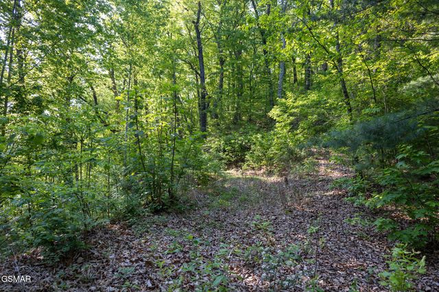 10171035 Big Buck Trail, Townsend, TN 37882