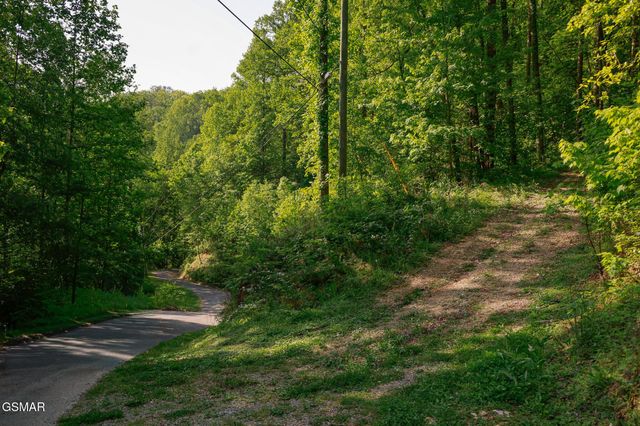 10171035 Big Buck Trail, Townsend, TN 37882