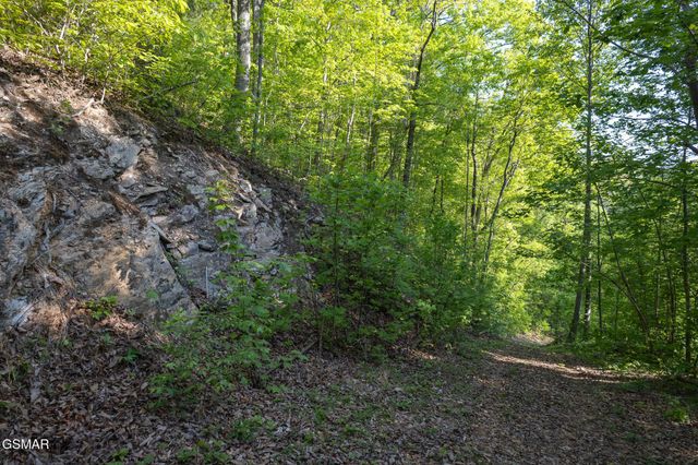 10171035 Big Buck Trail, Townsend, TN 37882