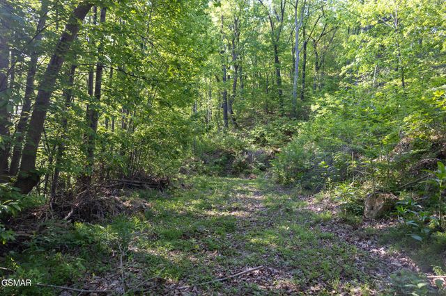 10171035 Big Buck Trail, Townsend, TN 37882
