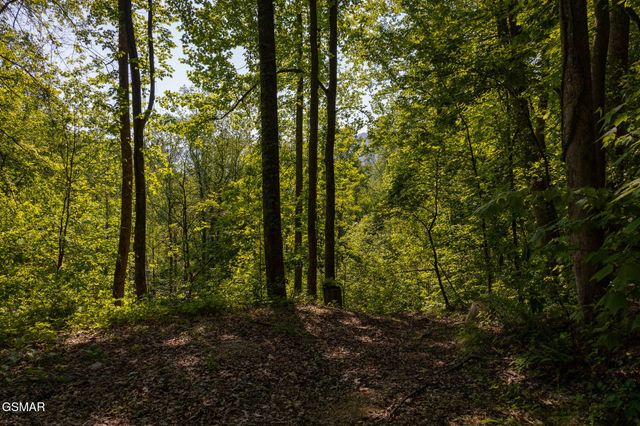 10171035 Big Buck Trail, Townsend, TN 37882