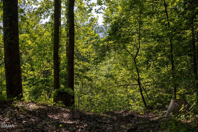 10171035 Big Buck Trail, Townsend, TN 37882