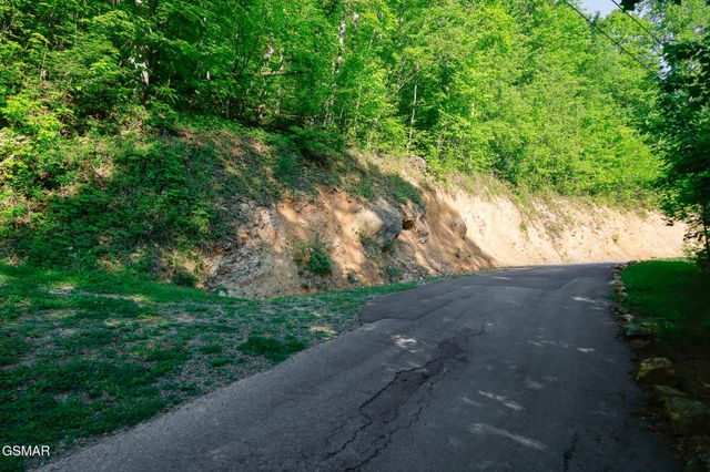 10171035 Big Buck Trail, Townsend, TN 37882