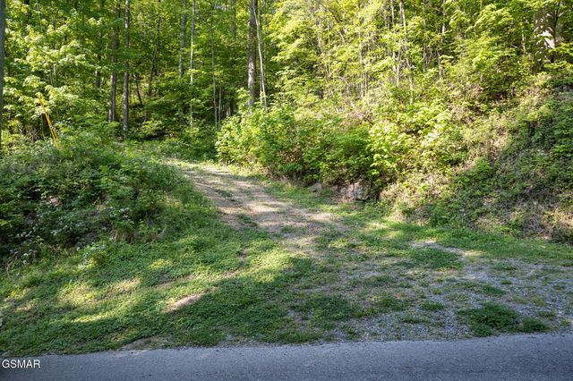 10171035 Big Buck Trail, Townsend, TN 37882
