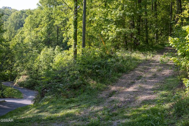 10171035 Big Buck Trail, Townsend, TN 37882