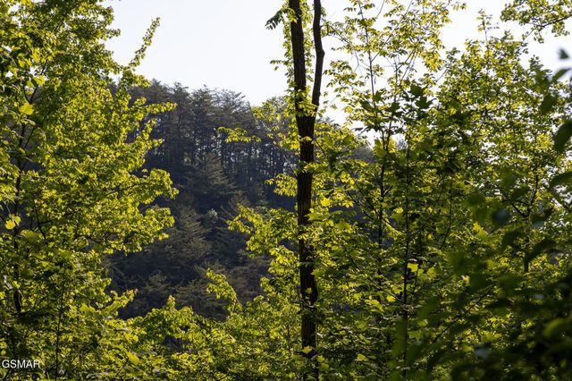 10171035 Big Buck Trail, Townsend, TN 37882