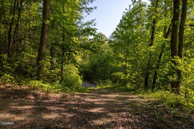 10171035 Big Buck Trail, Townsend, TN 37882