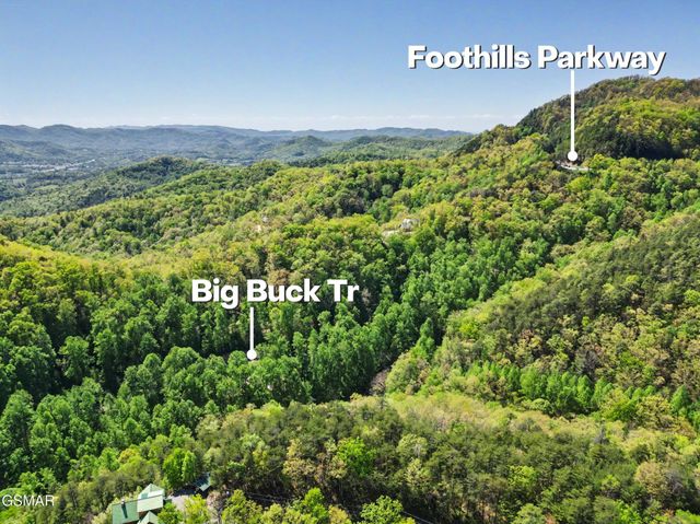 10171035 Big Buck Trail, Townsend, TN 37882