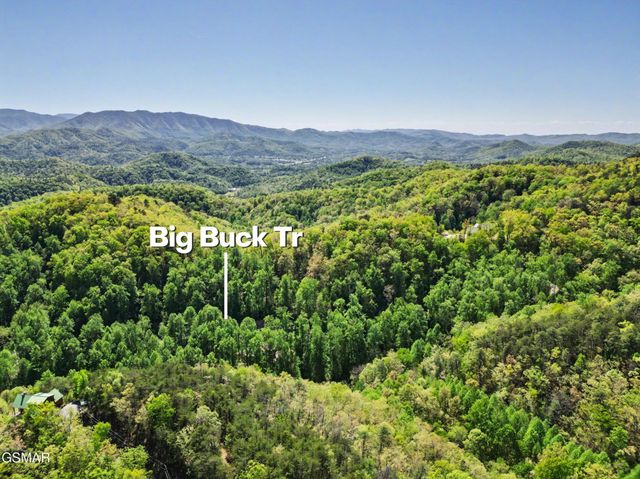 10171035 Big Buck Trail, Townsend, TN 37882