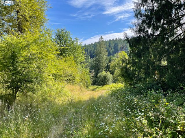 Bogynski Rd, Oregon City, OR 97045