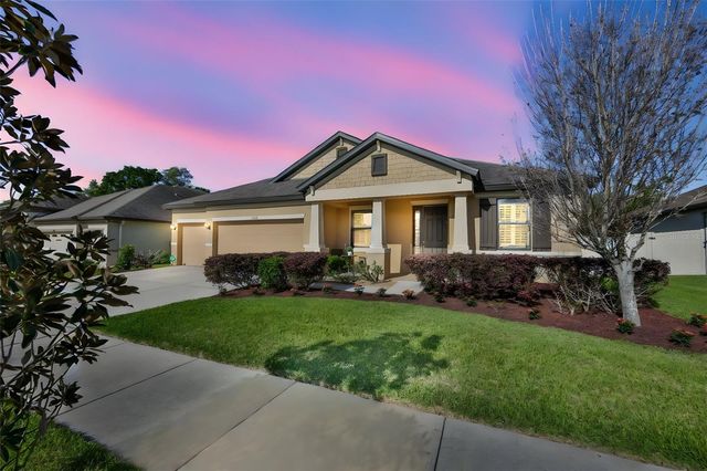 11014 BRAHMAN RANCH CIRCLE, Riverview, FL 33578
