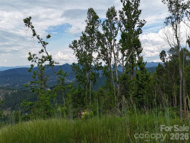 566 Elk Mountain Scenic Highway, Asheville, NC 28804