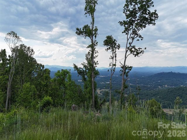 566 Elk Mountain Scenic Highway, Asheville, NC 28804