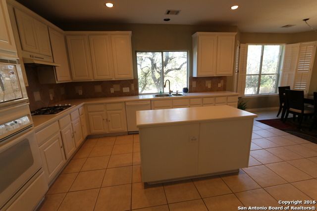 21010 WILD SPRINGS DR, San Antonio, TX 78258