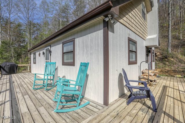 7300 Snake Hollow Road, Sneedville, TN 37869