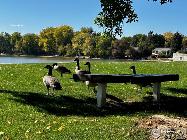 3036 Regatta Lane 2, Fort Collins, CO 80525